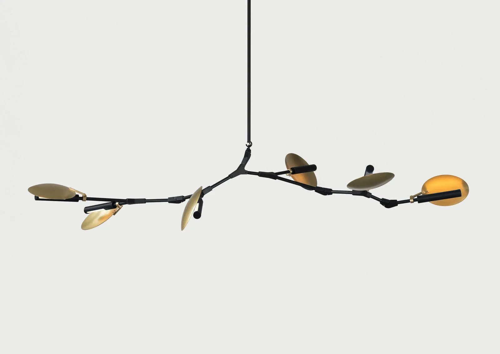 TFP-Lindsey-Adelman-BD.06.02.