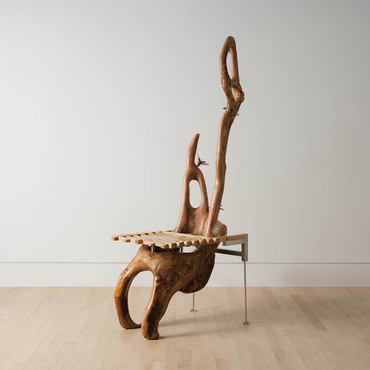 Latest in Contemporary Side Chairs | The Future Perfect