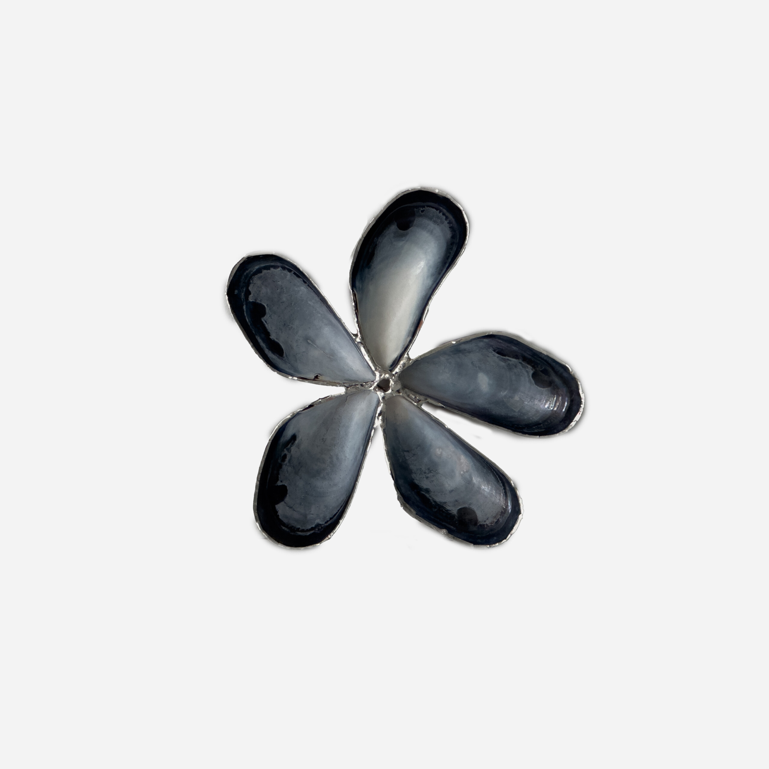 Mussel Ornament by The Perfect Nothing Catalog